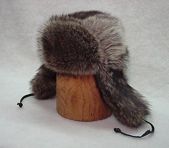 Russian Style Raccoon Hat